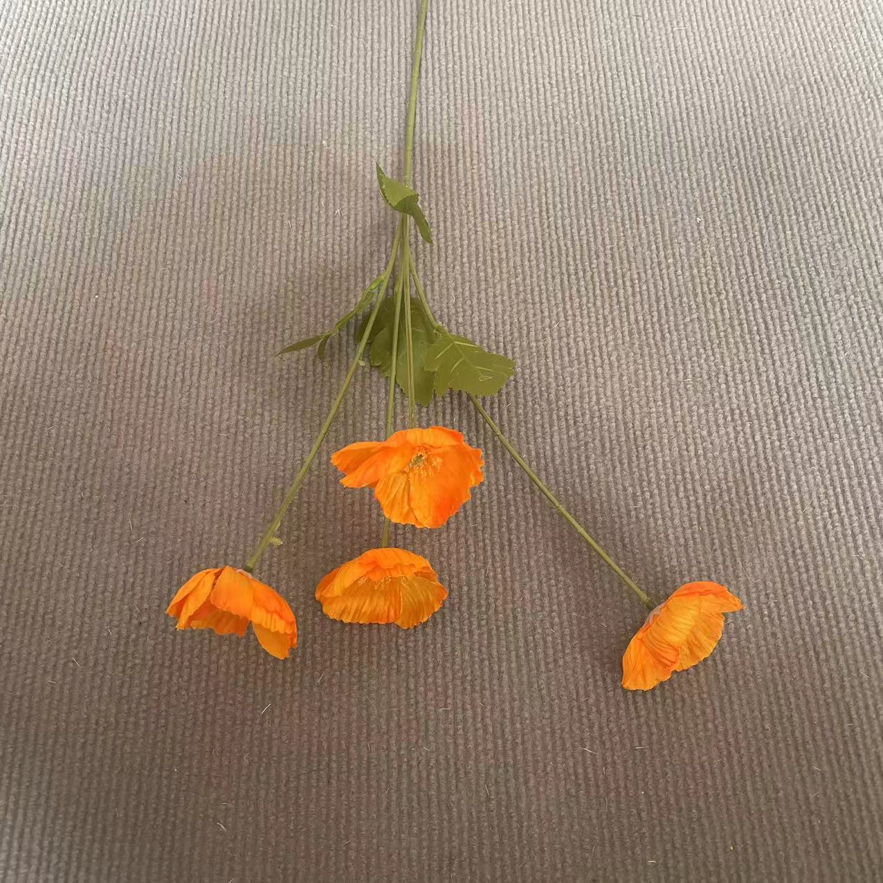 오렌지