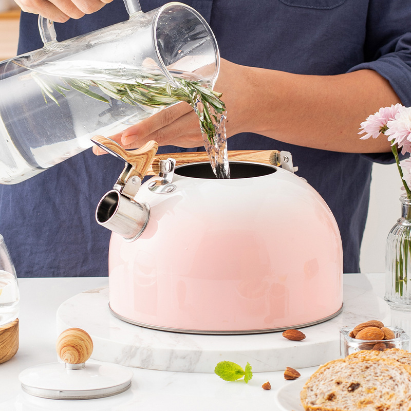 Hervidor de agua de silbato transfronterizo Gradiente rosa 3L botella de silbato plano al por mayor botella de silbato de acero inoxidable transfronterizo europea y americana