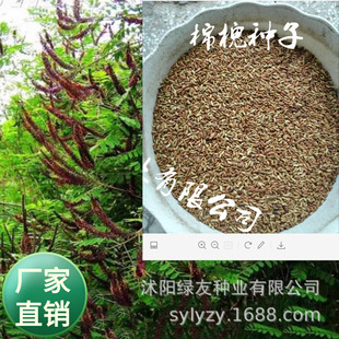 �S��֧��С���b���b�G���N����ľ�N��170�N���뻱�N�� �޻���N��