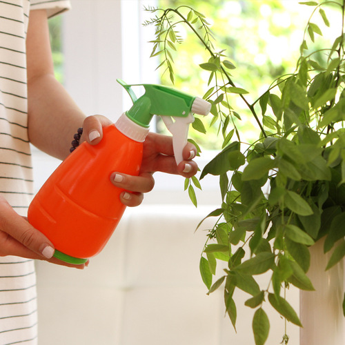 Zhenxing plastic watering can PT0030 flower watering spray bottle watering kettle gardening small household watering kettle industrial wholesale