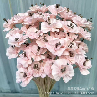 ��ʯ��ͨ�ݻ����r���¿��ֹ��ɻ� �Ҿӻ�c�b廨�Ĕz����5֧