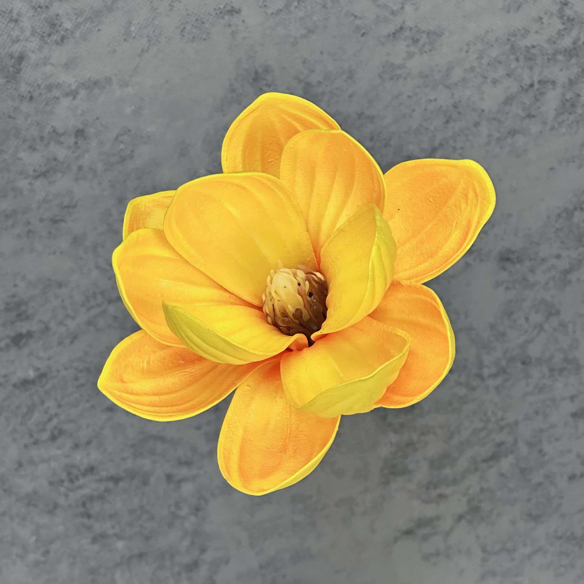 Flor de simulación transfronteriza EVA cabeza de magnolia 13cm tacto tocado kapok decoración decoración decoración flor falsa al por mayor