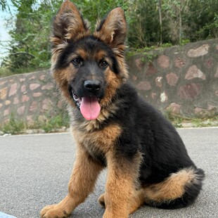 ���Nِ��������Ȯ����Ȯ�����ڱ�������Ȯ��Ȯ���w���ﹷ��