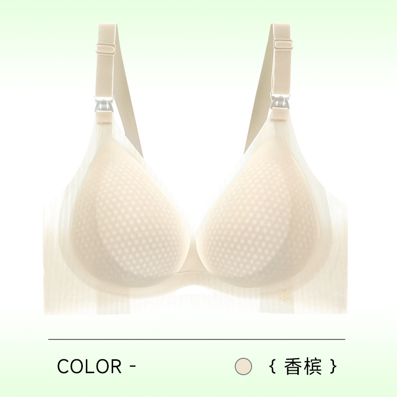 샴페인
