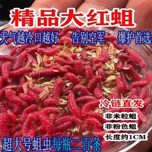 �r����~���x�~�D���������ӻ��x�tɫ��������ឰחl�R�ڼt����x