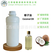 ���A��   ��եҬ����   Ҭ�ӣ�COCOS NUCIFERA����  ��Ħ������