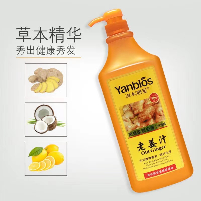 Ginger Oil control Herbal Yan Bao Shampoo Big bottle 1000ml