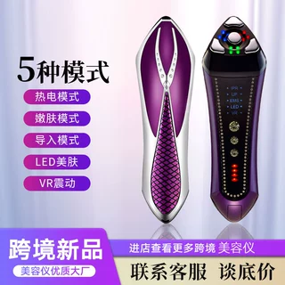 家用面部导入仪 EMS手持脸部按摩仪 辅助护肤品导入