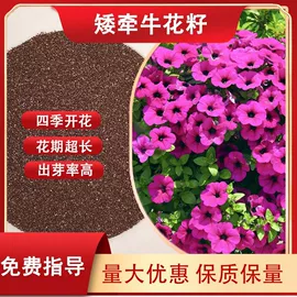 林业副产品;一二年生花卉;其他园林植物