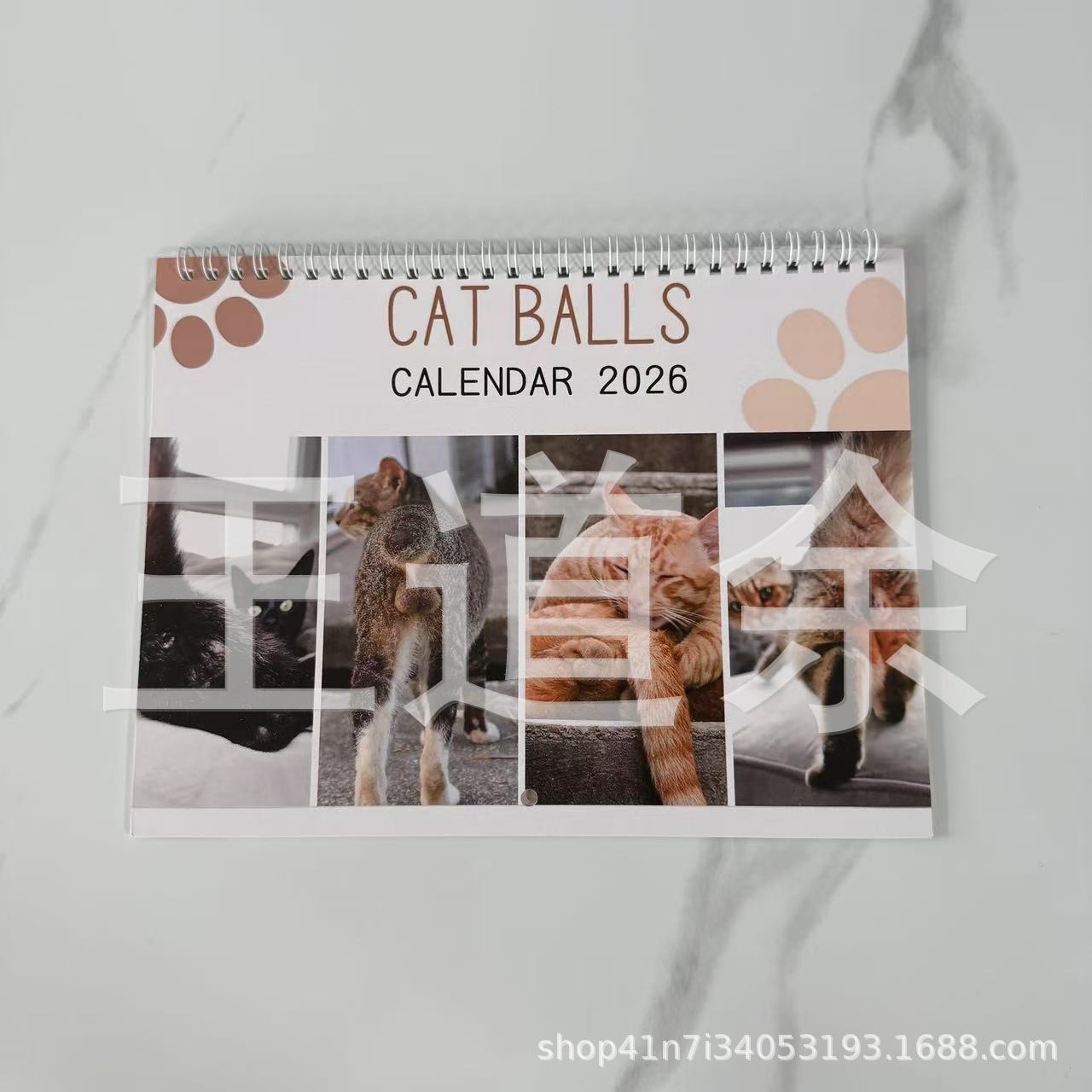 고양이 네 마리 엉덩이