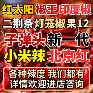 ���������l��؛ɢ�b�|�������������������ɼt�ʹ��{ζƷ���