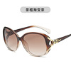 Fashionable sunglasses, elegant classic universal glasses, city style