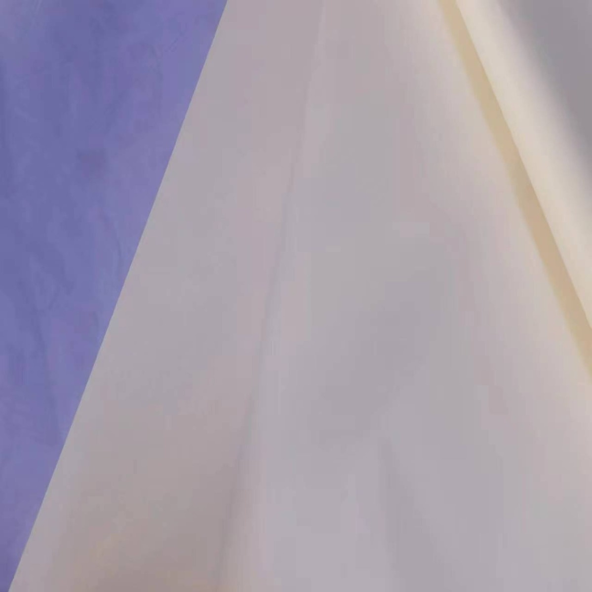 2024-02-23 10:10:00.jpg