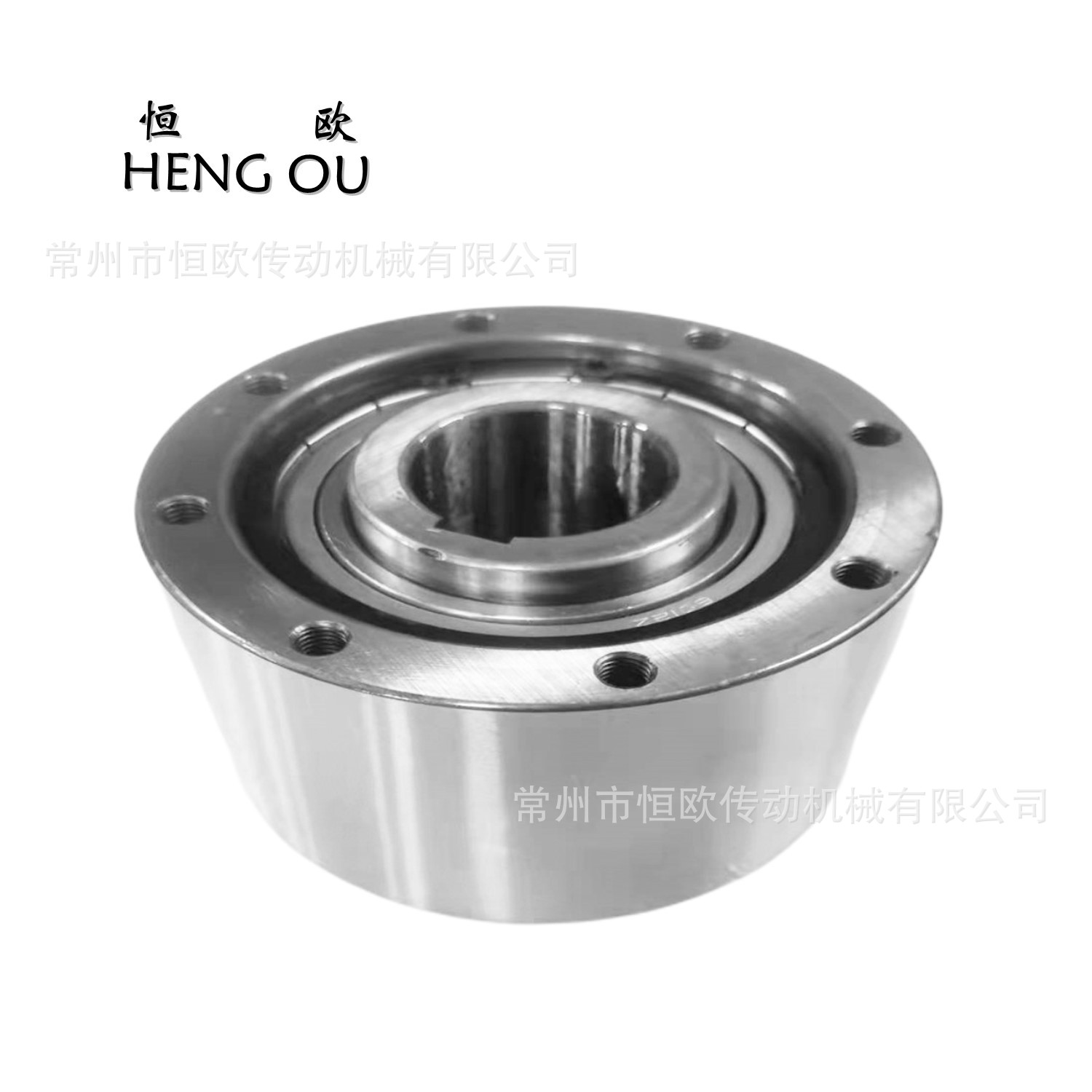 恒欧工厂供应MZ60G-50凸轮离合器