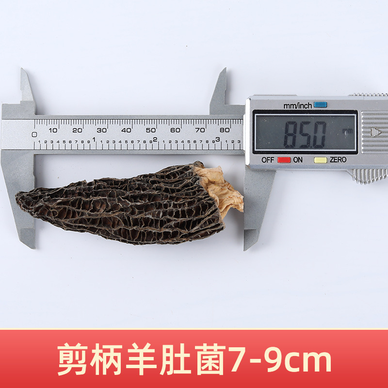 첫 번째 그루터기 7-9 가위 손잡이 모렐 500g (핫 세일)