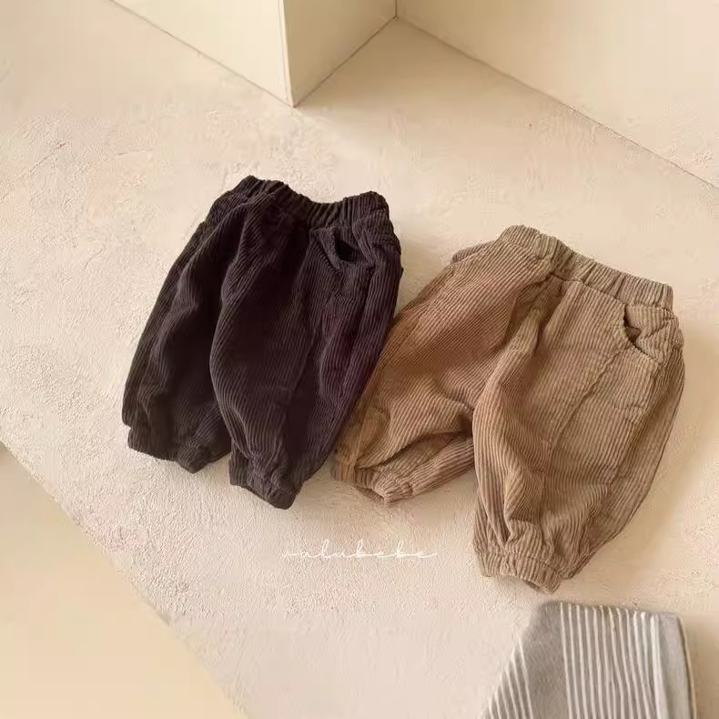 Ropa de invierno para bebés, estilo coreano, ropa infantil, invierno 2024, nueva ropa de paseo para bebés, pantalones de pana con forro polar para bebés