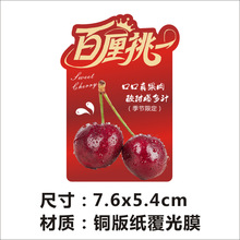 ܇�����N���ߙn�Ʒ���N����ˮ���̲走����b���Ӳ����z�˺�