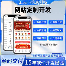 网站开发建设制作网页设计搭建企业展示网站公司官网做软件外包
