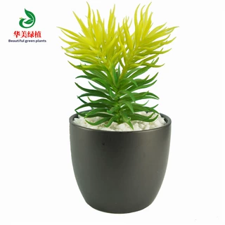 仿真多肉盆栽植物 单头松针 塑胶植物盆景盆栽微景观多肉组合素材