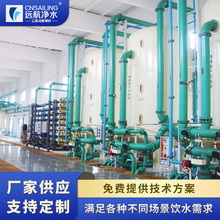 一体化水处理设备全自动单级反渗透纯净水生产设备电子化工