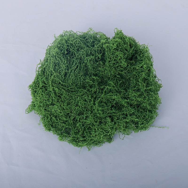 Dark green filamentous plush moss