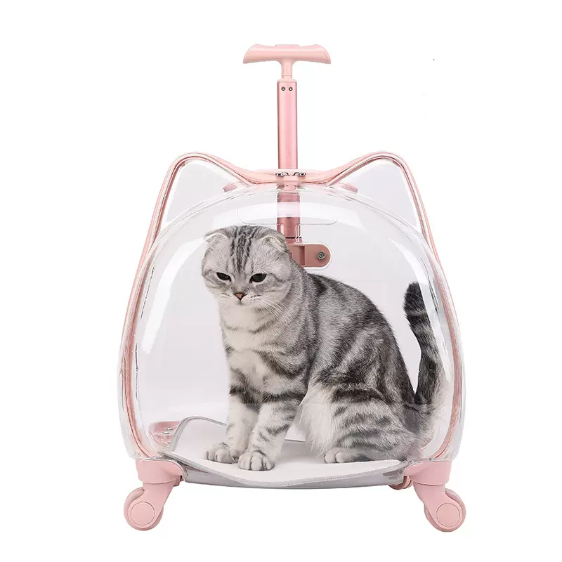 宠物拉杆箱猫咪全透明宠物箱透气太空舱猫包外出包便携小型狗包