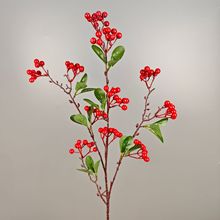 ���滨11�^�h����lؔ��������t���Ҿ��b��ܷ�����߷���