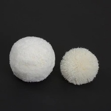 ��ë���F؛�_˾��ë��ë����]�����ɫë���o�Ϗ���ñ�����