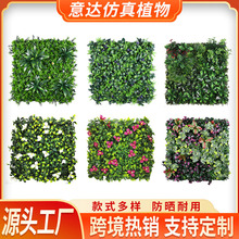 �羳���N����Gֲ�Ҿ��b�ֲ��߼������������T�^�ٻ���������