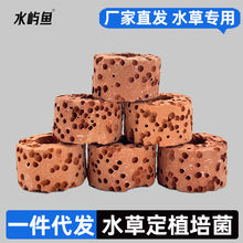 水草培菌环固定环沉底环过滤环定置环种植环鱼缸造景摆件厂家批发