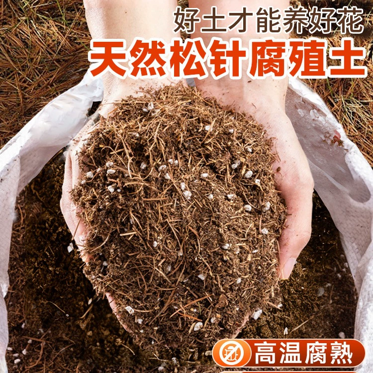 Сосновые иглы гниет гумусная почва Органическая питательная почва для выращивания цветов и овощей