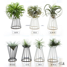 �՚��P��ֲ��ܶ��ⲻ���՚��P��֧�ܵ������Ԓ��h�b@ˇ18���