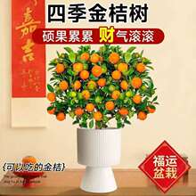 �ļ���ۘ������Ԏ�����ʳ�ÿ͏d����ֲ���҃���С���ӿɷNֲ�û�