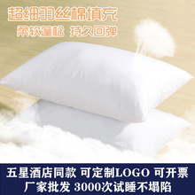 ��z����о���^�����i׵�w�������S���l�w���������^оһ�����l