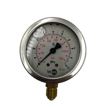 德国Tecsis泰科思压力表N837-1 P1454-6mpa油压表液压表YN60