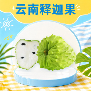 �����ȹ� ���l���l150-450gС�д�����^�����������b���rˮ��