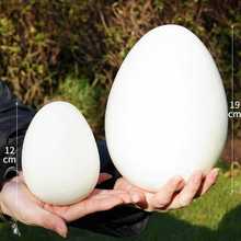 MPM3雞蛋鵝蛋鴨蛋鴕鳥蛋恐龍蛋鵪鶉蛋巨蛋假雞蛋模型櫥窗攝影道具