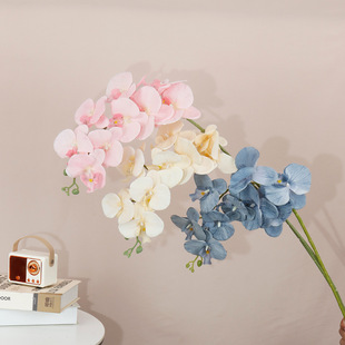 9�^�����m ��֦�����m�� �߼�����ꐼٻ���Y��ˇ���컨�羳���Q