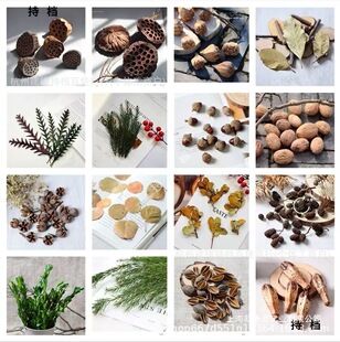 �ɻ����l����Ƭ�ɻ��L���ɹ����ɻ�С���»�����޹DIY����