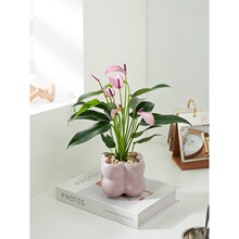 �����R���������M�ڻ����^�~�Gֲ�k���҃ȿ͏d��������ֲ���^��