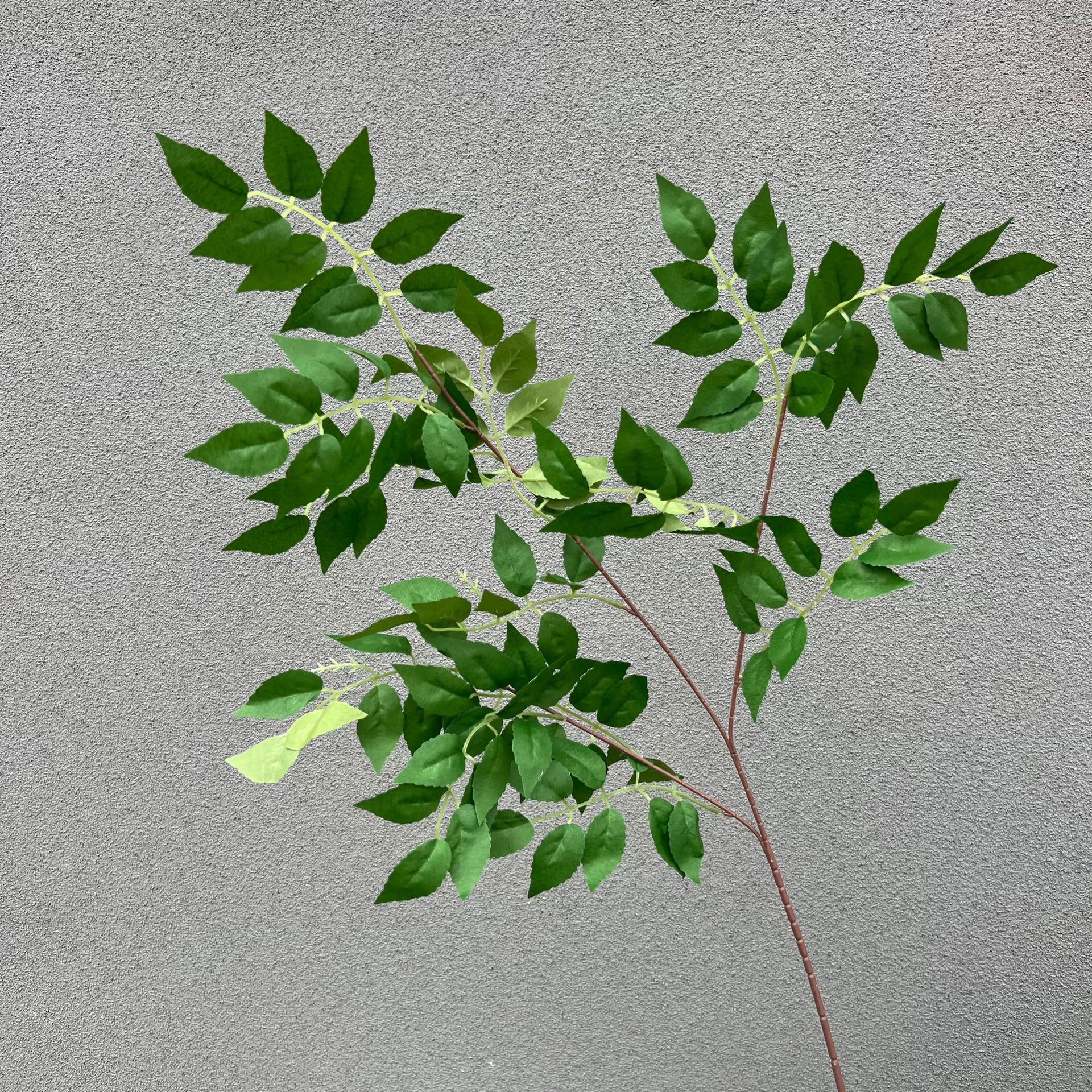 새로운 녹색 얼음 심장 잎