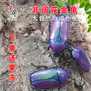 ��韻��������x���x���x�����ӌ�����x��B�������x���w������
