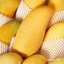 金兴芒海南整箱水仙10大芒果批发热带水果新鲜芒果金煌芒斤装甜心