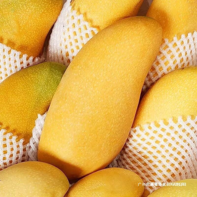 金兴芒海南整箱水仙10大芒果批发热带水果新鲜芒果金煌芒斤装甜心