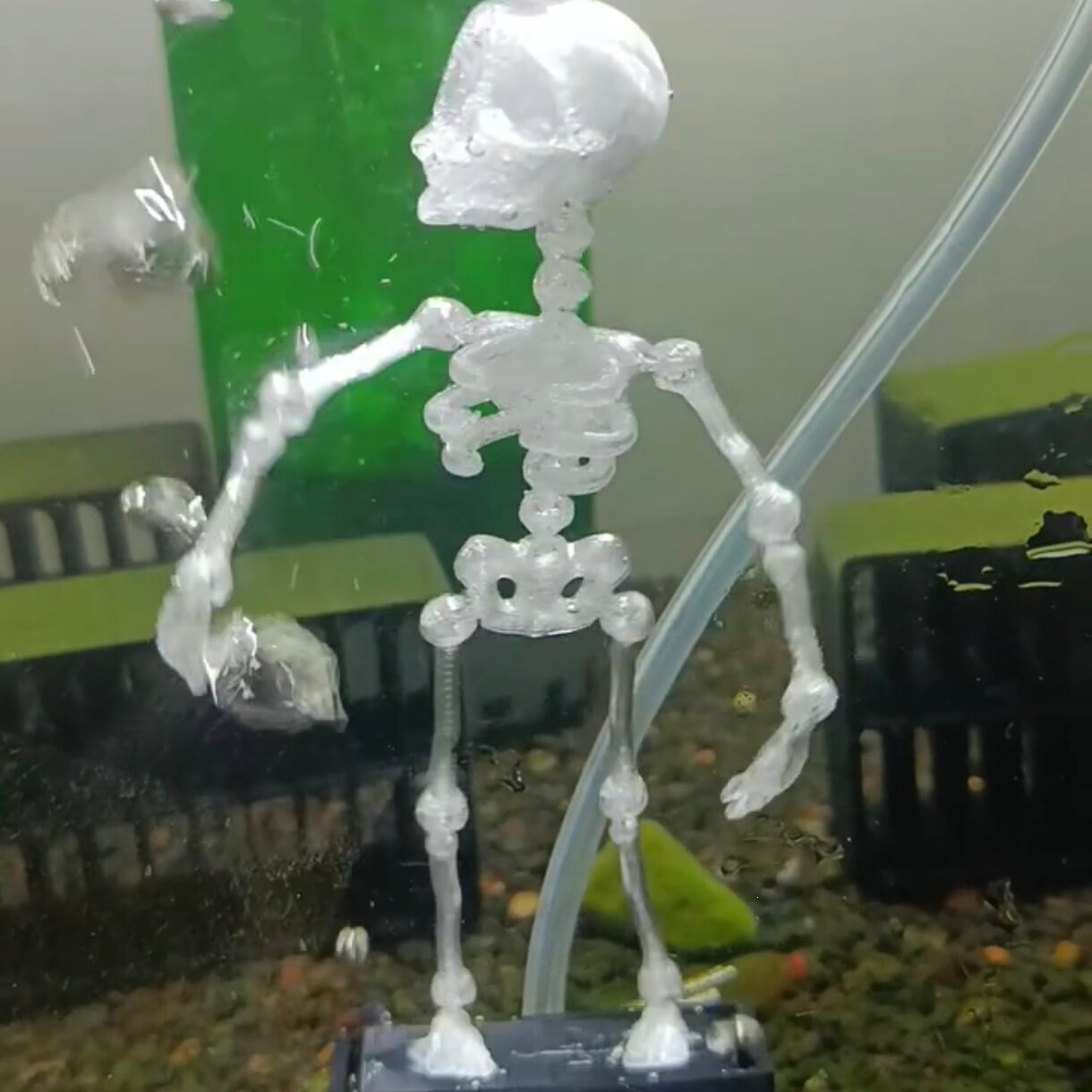 Skeleton bubbler connected to aquarium air tube