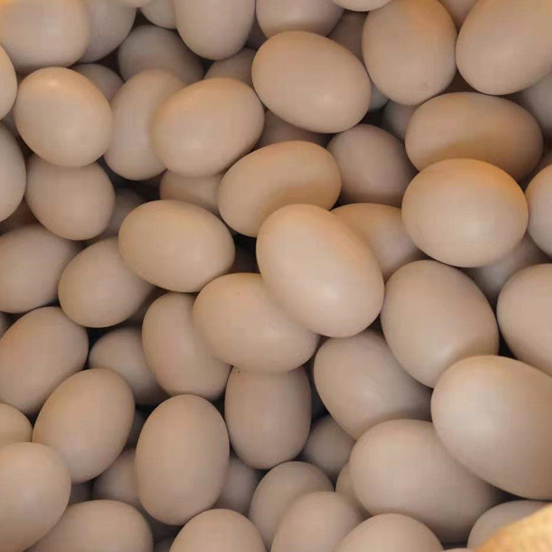 木制彩色大号沙蛋 卡通木蛋 木质沙球 木鸡蛋早教玩具