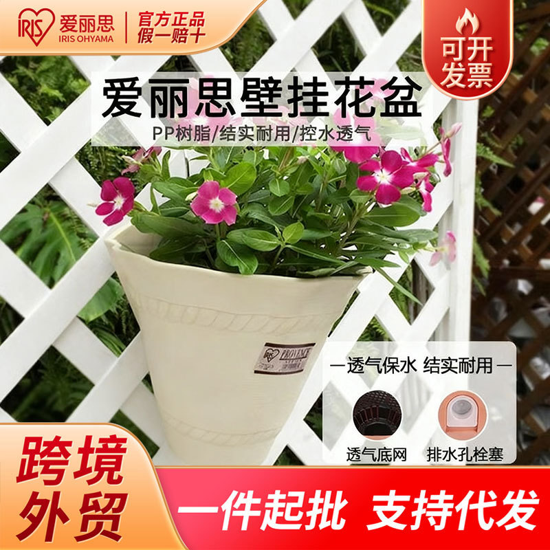 Iris Wall-Mounted Flower Pot Thickeneded Plastic Resin Balcony Railing Wall Hanging Pothos Succulent Hanging Flower Pot