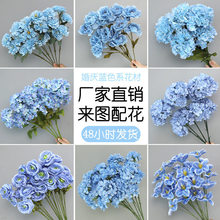 ���˹��{ɫϵ�л�c���滨�߼��л�Y�������ϻ��ٻ���ˇ���Ľ���