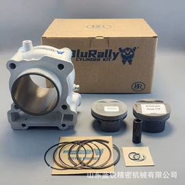 活塞/活塞环;气缸及部件