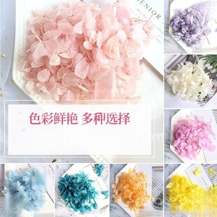 �黨������b��仨�����Y�н�����ִ��N���o2�Y�ɻ����� diy